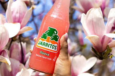 Jarritos - Guava
