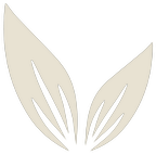 Image of a leaf